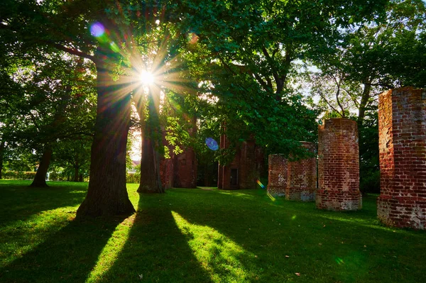 Monasterio Medieval Ruinas Parque Público Greifswald Alemania —  Fotos de Stock