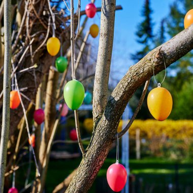 Paskalya için bahçe dallarında asılı renkli paskalya yumurtaları..