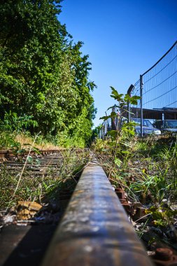 Nadiren kullanılan, yıpranmış demiryolu hattı yavaş yavaş bitkilerle kaplanır. Odak noktası fotoğrafın ortasındaki bitkiler..