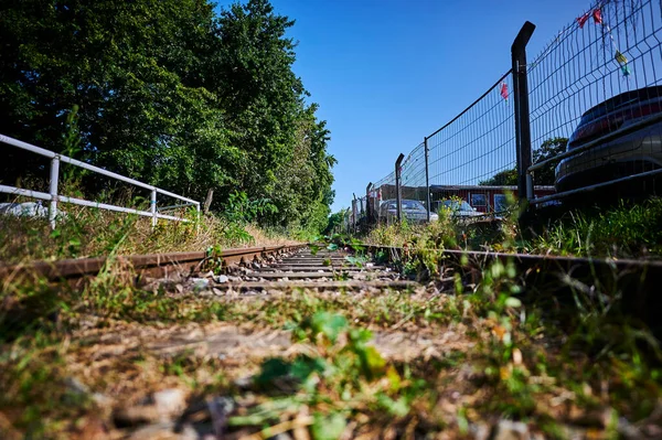 Ritkán Használt Időjárásálló Vasútvonal Amelyet Fokozatosan Elárasztanak Növények Fókusz Horizonton — Stock Fotó