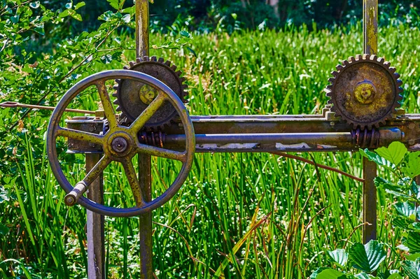 緑の葦の真ん中に水車の古い錆びた堰 — ストック写真