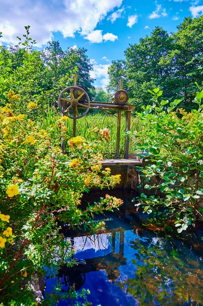 Viejo Vertedero Oxidado Molino Agua Medio Cañas Verdes Flores Amarillas —  Fotos de Stock