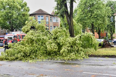 Berlin, Almanya - 12 Haziran 2019: Şiddetli bir fırtınadan sonra Berlin, Almanya 'da bir ana caddede bulunan köklerinden sökülmüş bir ağaç. Polis yolu kapatıyor ve itfaiyeciler dalları temizliyor..