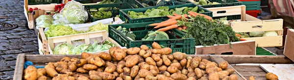 Pohled Krabice Různých Druhů Zeleniny Trhu Německu — Stock fotografie