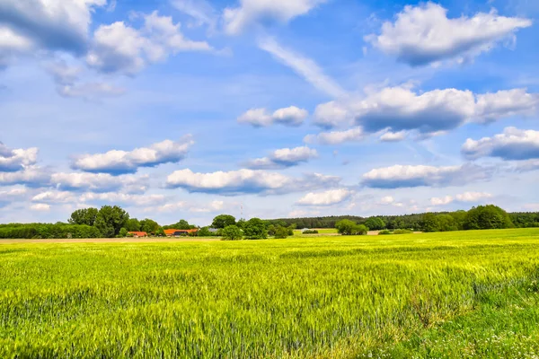 德国下萨克森州蓝天和多云天空下地平线上的绿地上的树木 — 图库照片