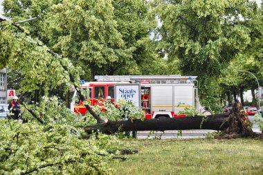 Berlin, Almanya - 12 Haziran 2019: Şiddetli bir fırtınadan sonra Berlin, Almanya 'da bir ana caddede bulunan köklerinden sökülmüş bir ağaç. Polis yolu kapatıyor ve itfaiyeciler dalları temizliyor..