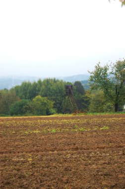 Sonbahar tarlaları, ormanlar, tepeler ve Sakson İsviçre 'de avlanmak için yüksek bir yer.
