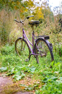 Berlin, Almanya - 12 Ekim 2019 Terk edilmiş bisiklet Bir gölün kenarındaki parkta.