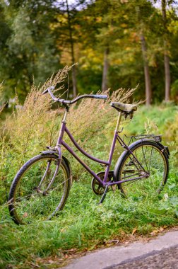 Berlin, Almanya - 12 Ekim 2019 Terk edilmiş bisiklet Bir gölün kenarındaki parkta.