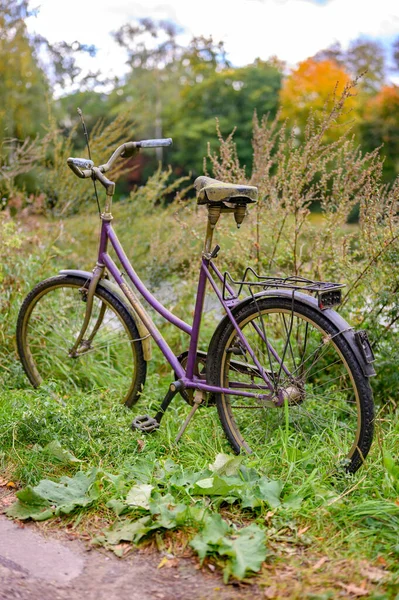 Berlín Alemania Octubre 2019 Bicicleta Abandonada Parque Orillas Lago — Foto de Stock