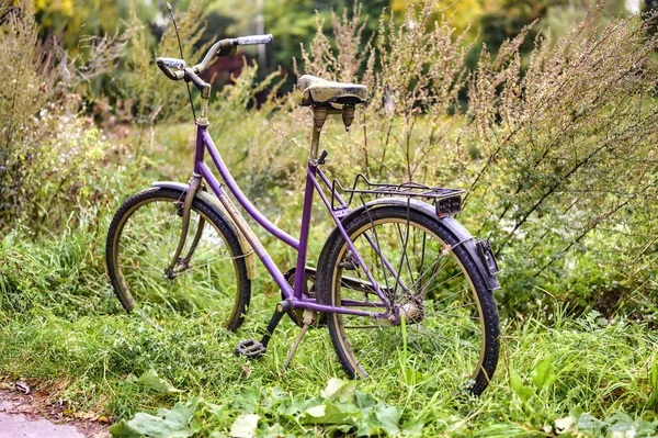 德国柏林 2019年10月12日 被遗弃的风化自行车在湖边的公园里 — 图库照片