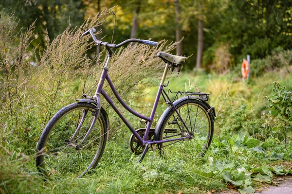 Berlín Alemania Octubre 2019 Bicicleta Abandonada Parque Orillas Lago — Foto de Stock