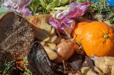 Geri dönüşüm için çeşitli organik atıkları olan bir biyo konteynıra bak.