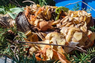 Geri dönüşüm için çeşitli organik atıkları olan bir biyo konteynıra bak.