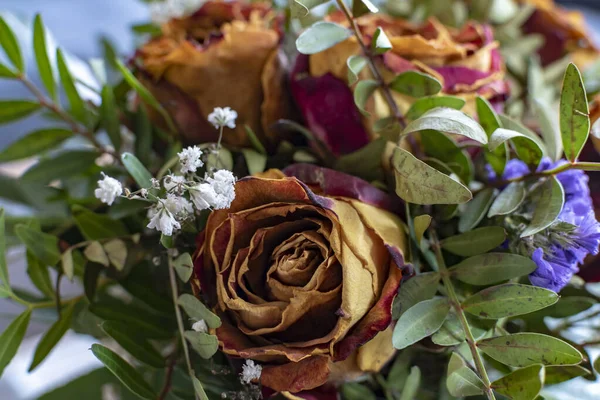 Gros Plan Bouquet Roses Séchées Diverses Plantes Complémentaires — Photo