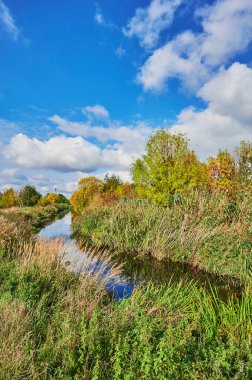 Berlin, Almanya 'nın çevresindeki küçük bir derede güneşli bir sonbahar havası.