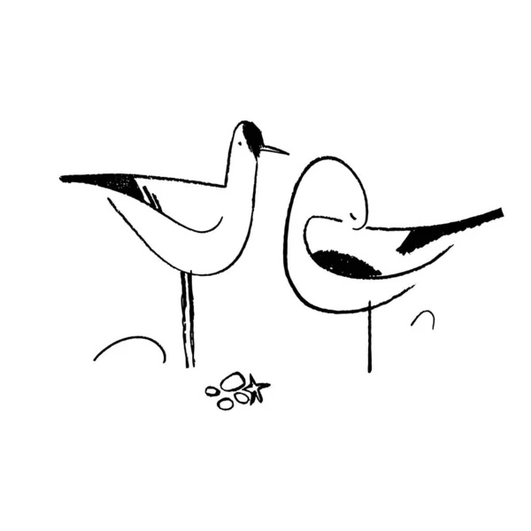 Croquis vectoriel de la mouette. — Image vectorielle