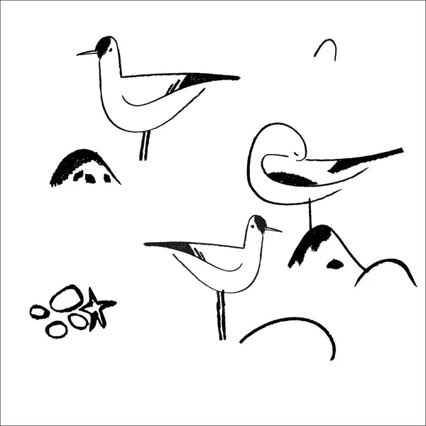 Ручной рисунок с птицами. — стоковый вектор
