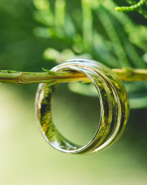 美しい緑の植物上のゴールドの結婚指輪 — ストック写真