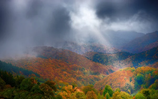 Prachtig Uitzicht Kleurrijke Bomen Bewolkte Hemel — Stockfoto