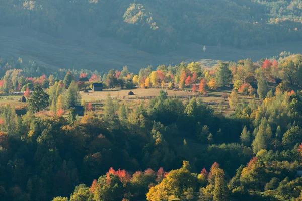 Flygfoto Över Hus Och Skog Höstsäsongen — Stockfoto