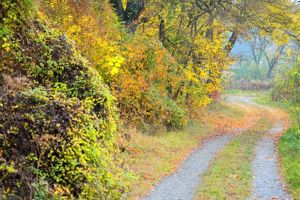 Eine Schöne Gasse Die Den Schönen Herbst Führt — Stockfoto