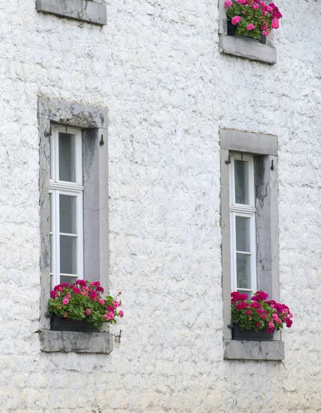 Vit Vägg Och Blommor Windows — Stockfoto