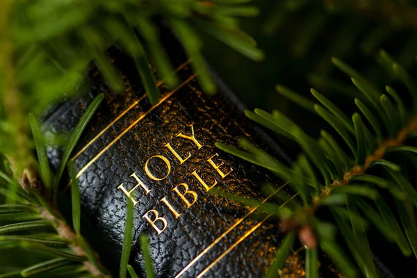Μαύρο Δερμάτινο Κάλυμμα Αγία Γραφή Γράφτηκε Χρυσά Γράμματα — Φωτογραφία Αρχείου