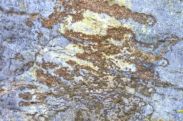 Stein Textur Nahaufnahme Hintergrund — Stockfoto