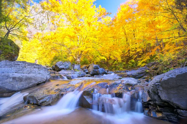 Beautiful Waterfall Autumn Season — Stock Photo, Image