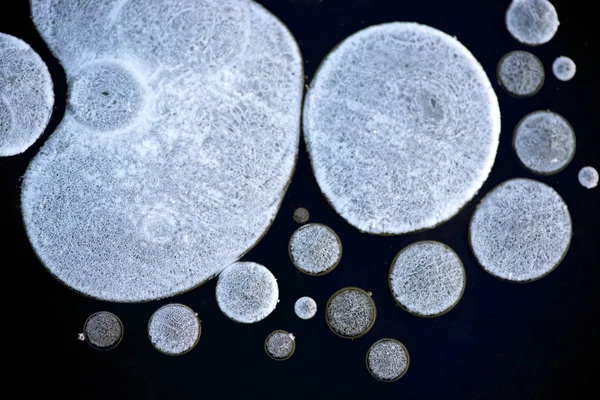 Textura Gelo Cristal Com Múltiplas Bolhas Rachaduras Macro Shot — Fotografia de Stock