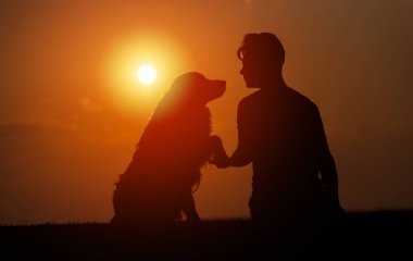 genç adam onun evcil köpek eğitim, dış ve bir yaz akşamı el sallayarak gökyüzünde güneşin tarafından kontrast oturuyor