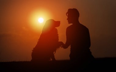 genç adam onun evcil köpek eğitim, dış ve bir yaz akşamı el sallayarak gökyüzünde güneşin tarafından kontrast oturuyor