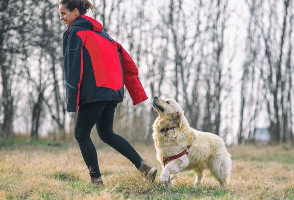 Golden Retriever Brincando Com Seu Mestre Campo — Fotografia de Stock