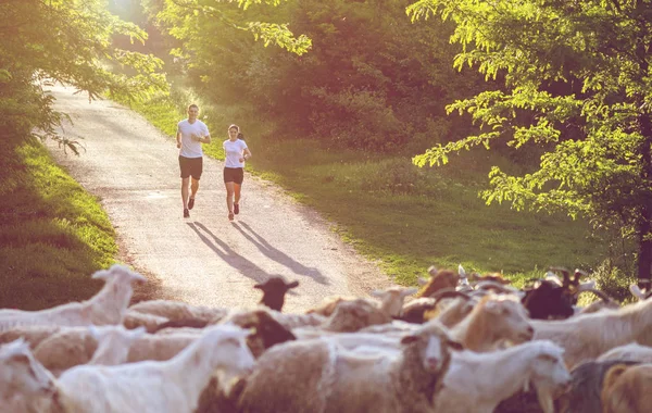 Jonge Mensen Joggen Uitoefening Van Natuur — Stockfoto