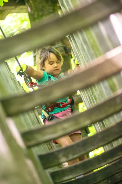 Kleines Mädchen Klettert Abenteuerpark Junge Genießt Klettern Hochseilgarten Abenteuer — Stockfoto