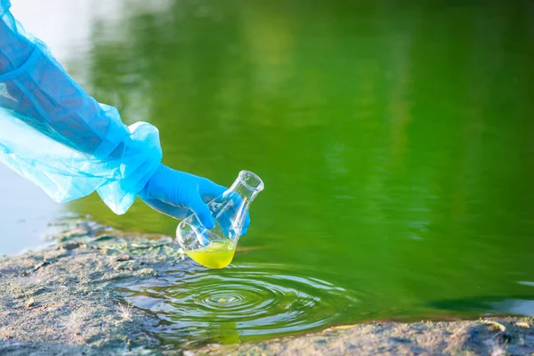 close-up environmentalist hand of a researcher, produces a process of taking a sample of water from a lake