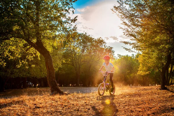 Menina Divertindo Bicicleta Floresta Temporada Outono — Fotografia de Stock