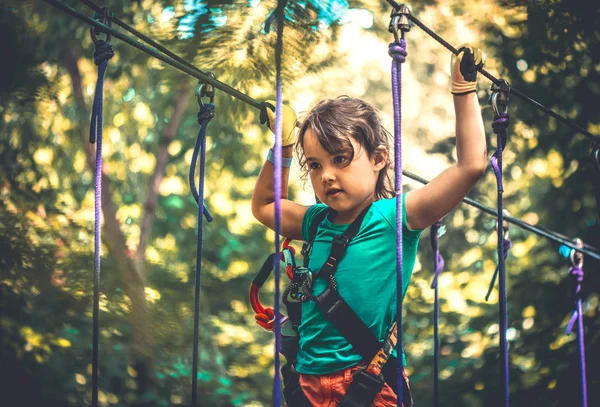 Küçük Kız Yaz Zamanı Macera Parkında — Stok fotoğraf
