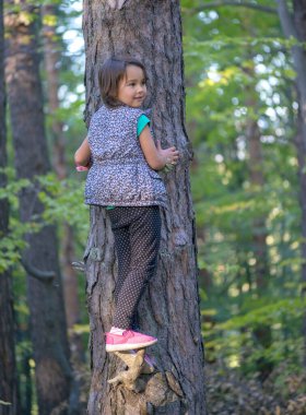 Küçük kız ormandaki bir ağaca tırmanıyor.