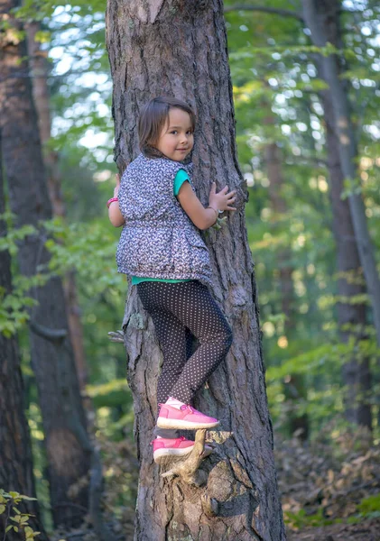 Liten Flicka Klättrar Ett Träd Skogen — Stockfoto