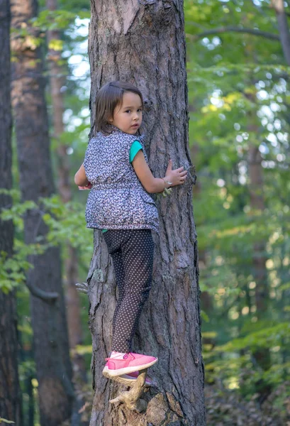 Liten Flicka Klättrar Ett Träd Skogen — Stockfoto