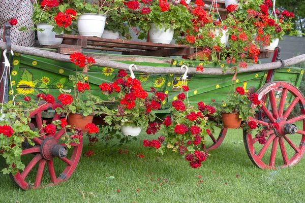 Zierwagen Mit Blumen Drauf — Stockfoto