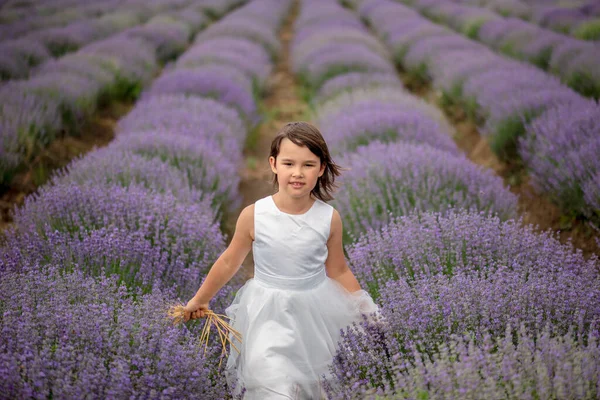 Elölnézetből Egy Gyönyörű Kislány Élvezi Fut Sorok Között Virágzó Levendula — Stock Fotó