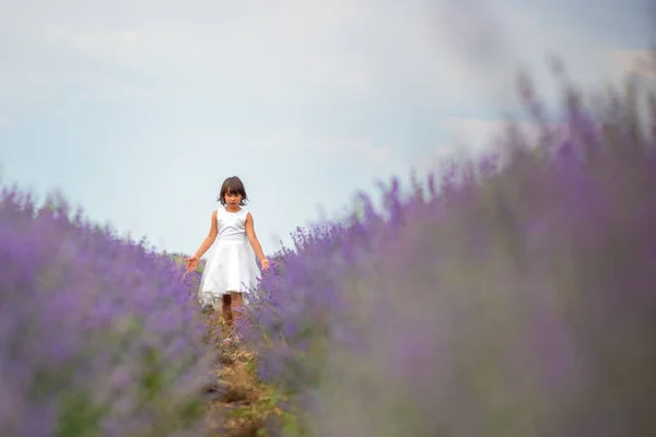 Liebenswertes Kleines Mädchen Einem Lavendelfeld — Stockfoto