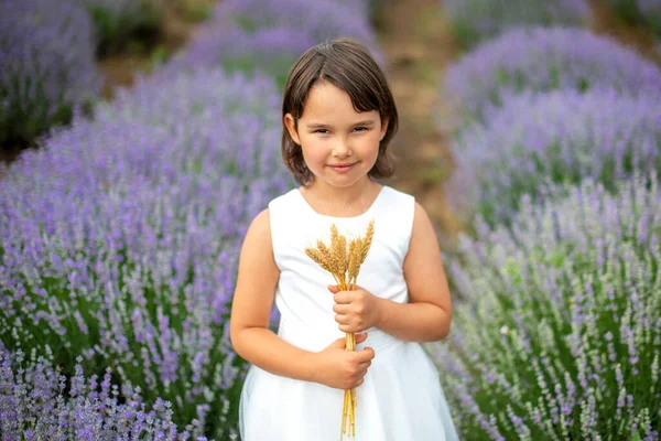 Liebenswertes Kleines Mädchen Einem Lavendelfeld — Stockfoto