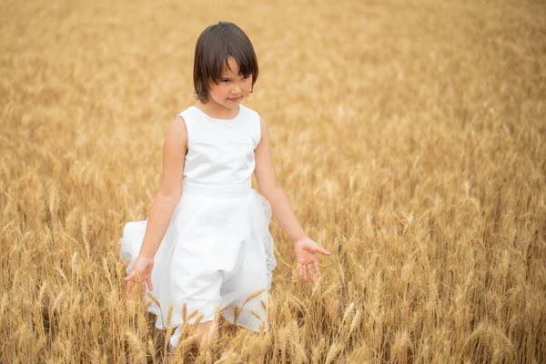 Söt Liten Flicka Leker Vetefält — Stockfoto