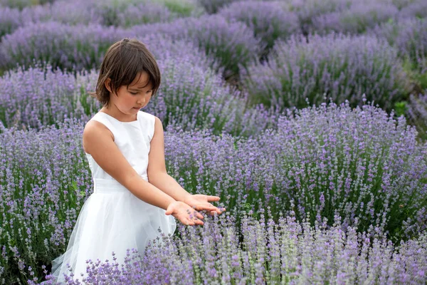 Adorabile Bambina Campo Lavanda — Foto Stock