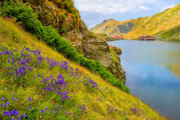 Чудове Вулканічне Озеро Балея Великій Висоті Горі Фагарас Румунія — стокове фото
