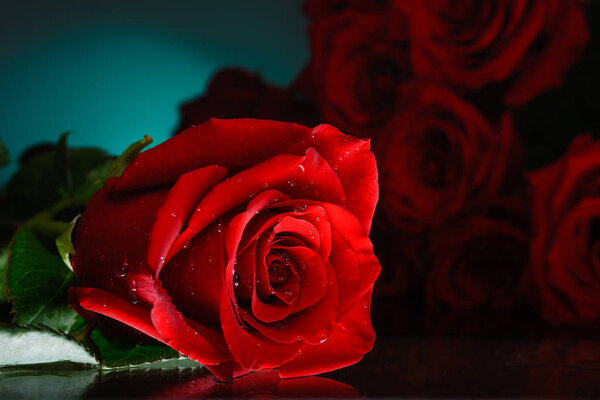 Red roses on a blue background. Shiny surface. Bouquet of flowers.
